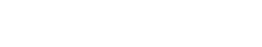 Versión Demo